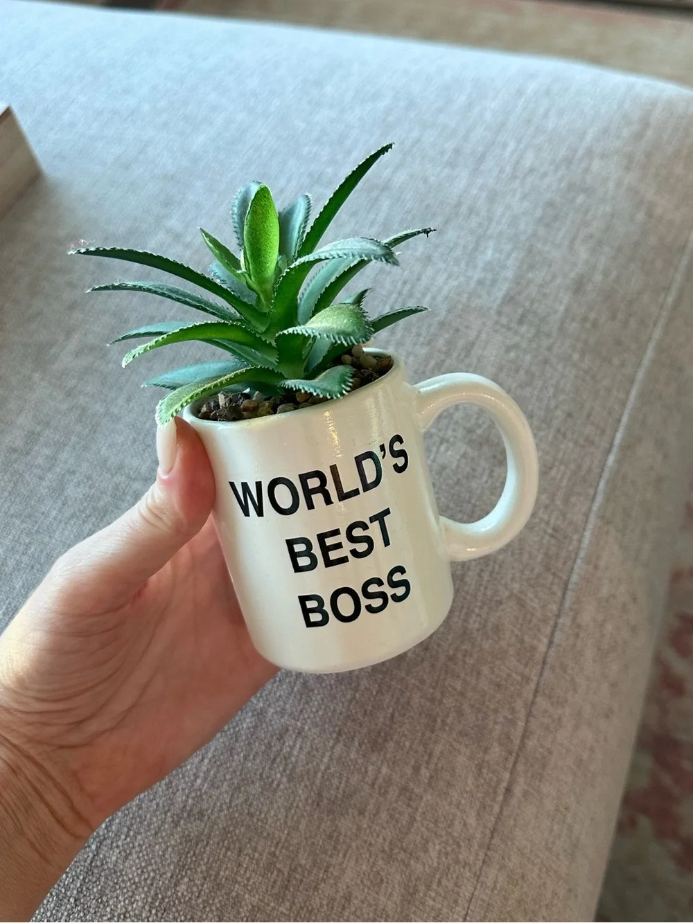 The Office World’s Best Boss Mug Succulent Planter